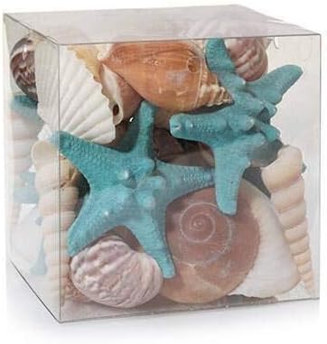 Elevate Your Candle Experience with Seashell Starfish Fill
